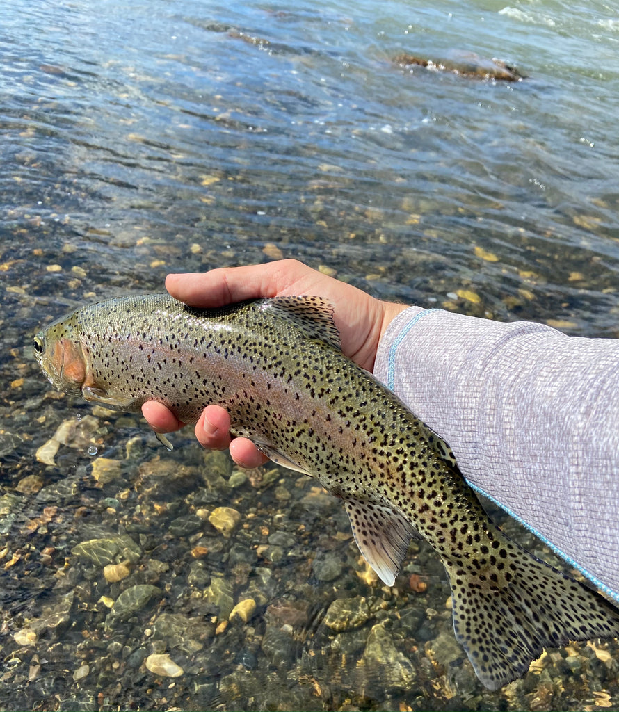 Madison River Outfitters Fishing Report 5/18/21