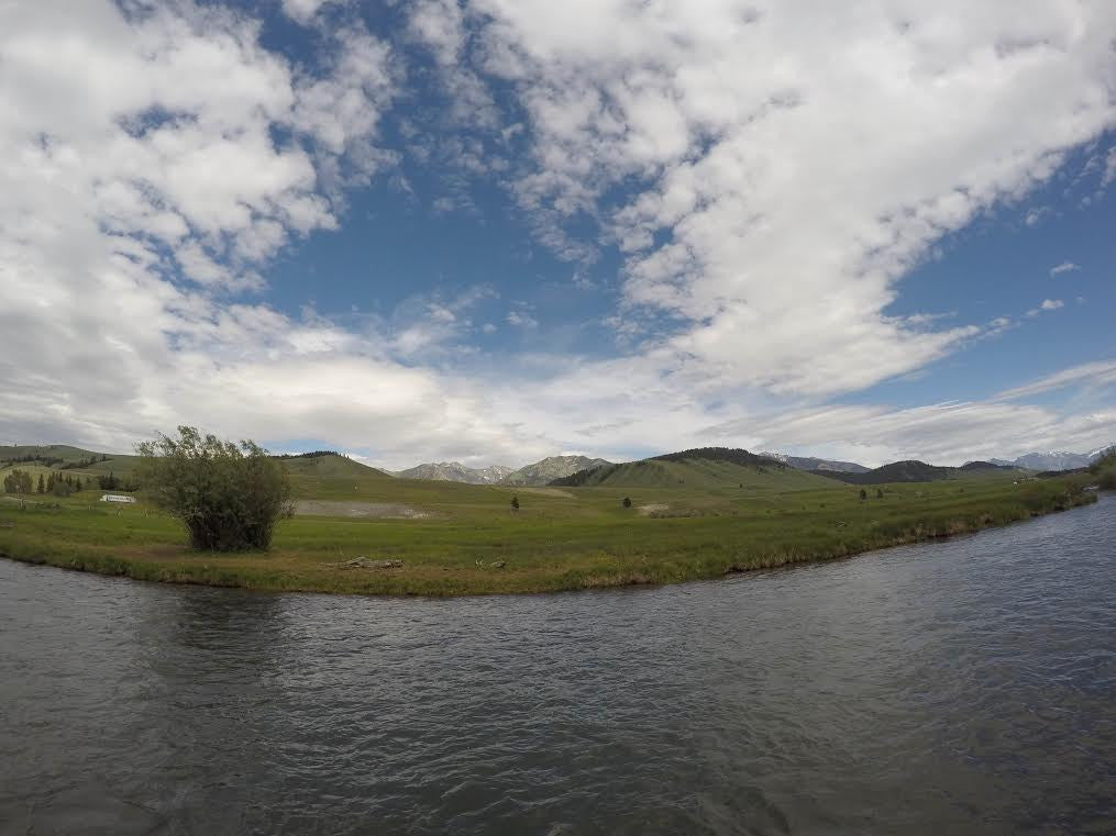 Madison River Fly Fishing Report 6/13/2016