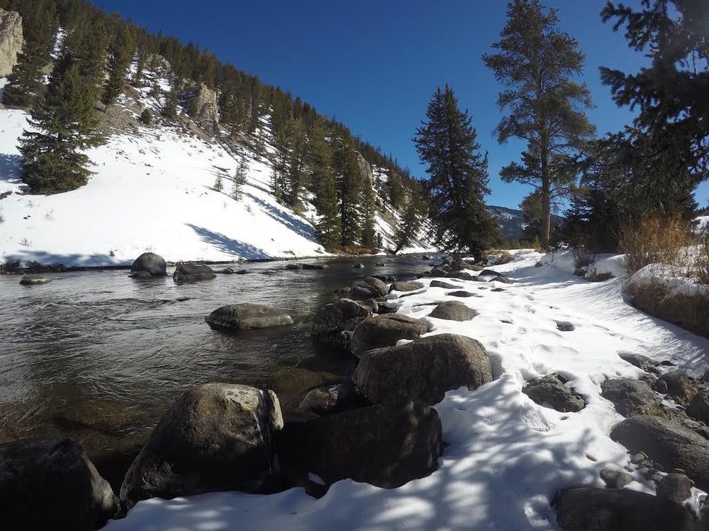 Montana Fly Fishing Report for 02/29/2016