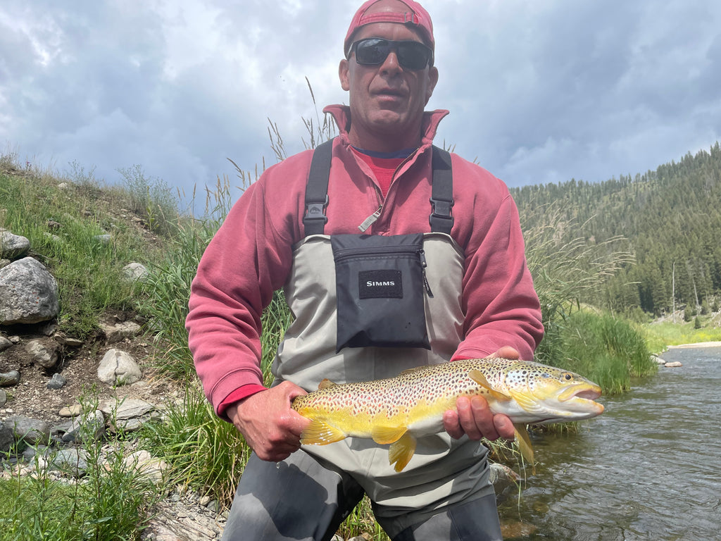 Madison River Outfitters Fishing Report 8/13/2023