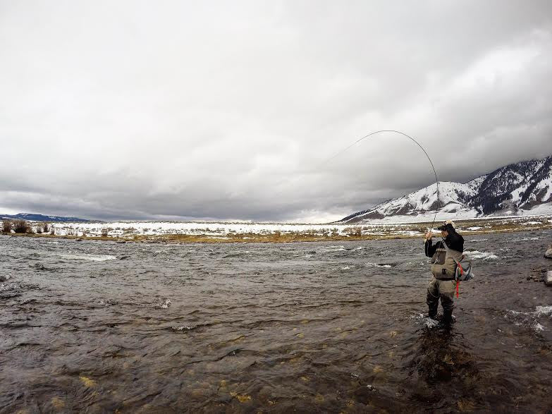 Montana Fly Fishing Report 3/20/16