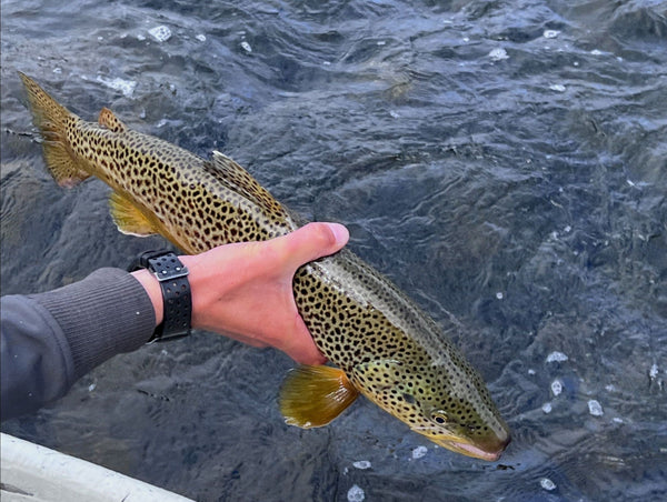 Fishing Report - 9/25/2026