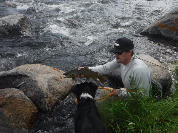 Madison River Outfitters Fishing Report 9/11/2017