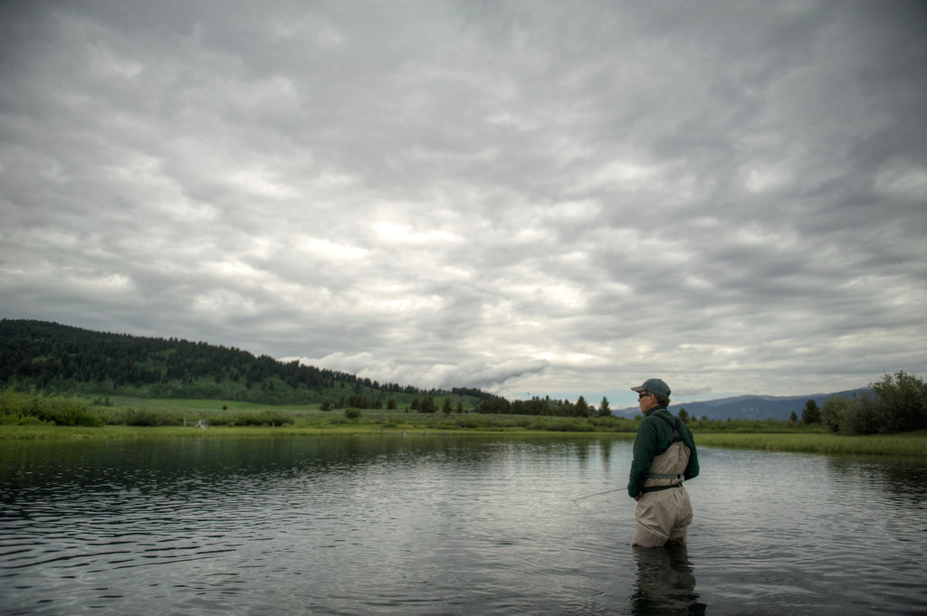 Madison River Professional Guide Trips - Book Now