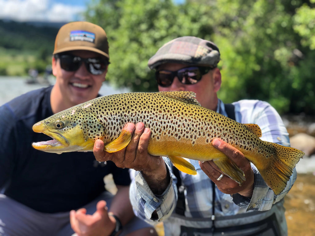Madison River Outfitters Fishing Report 7/16/2019