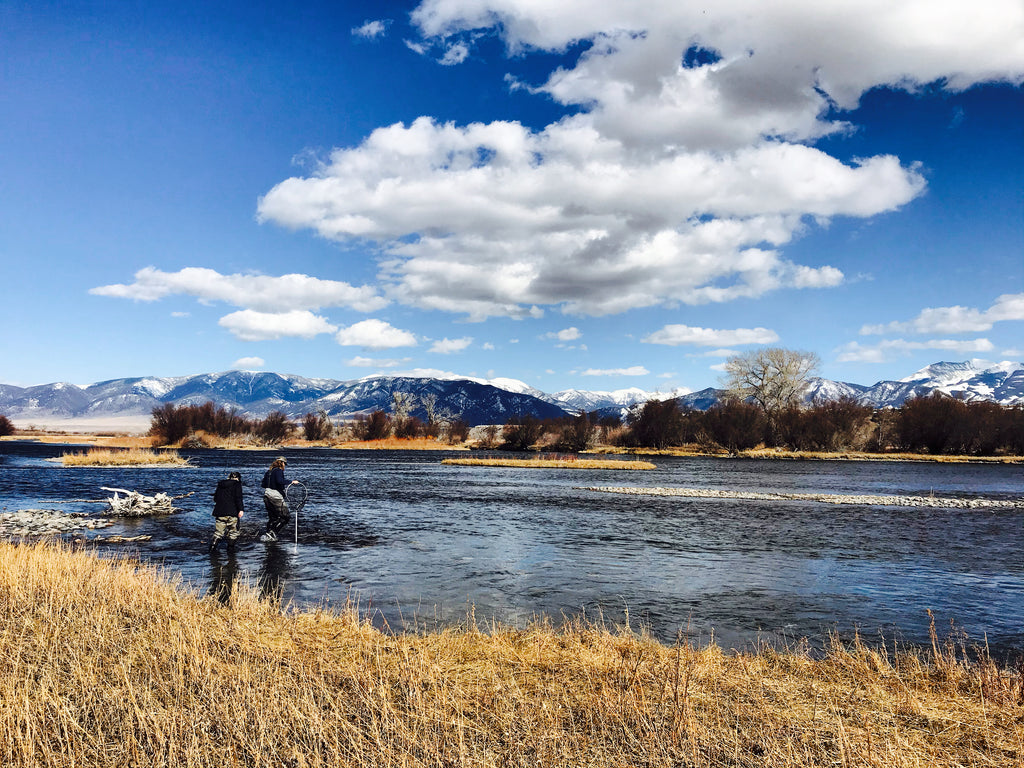 Madison River Fishing Report for 03/24/2020