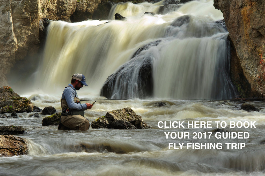 Book Your 2017 Guide Fly Fishing Trip