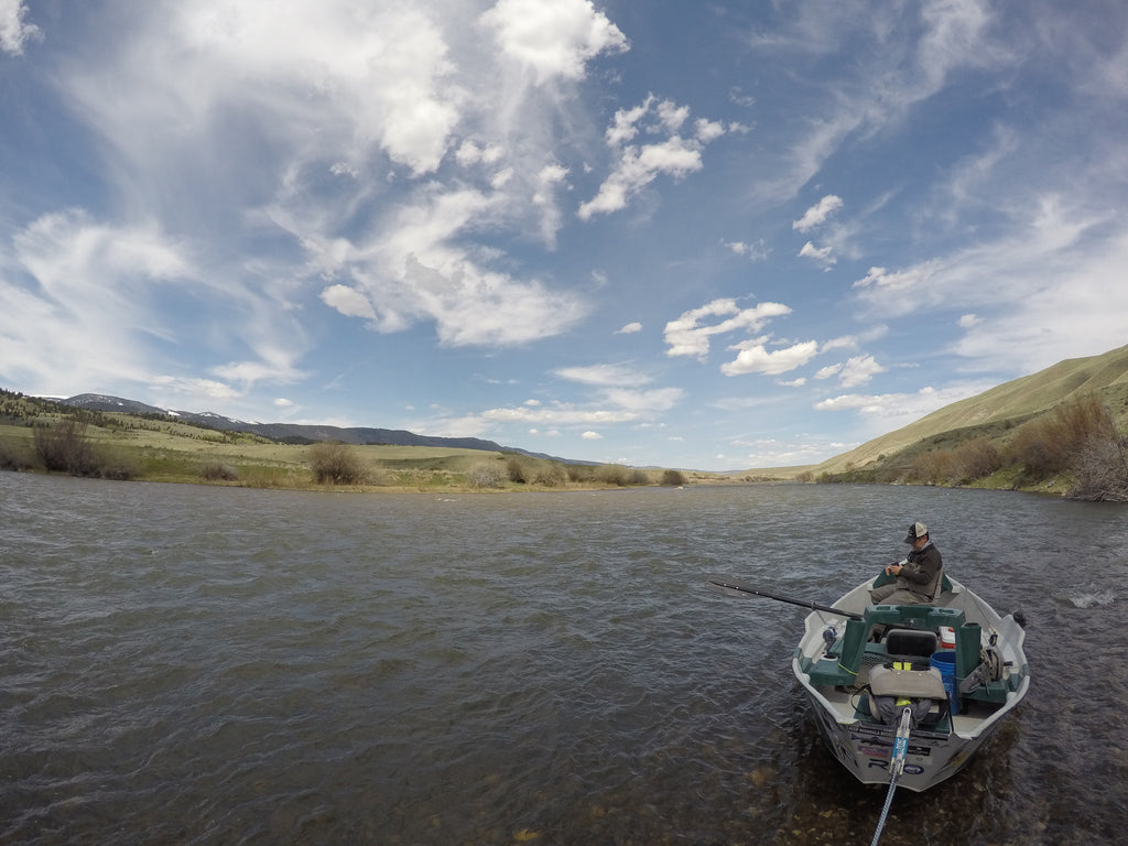 Madison River Fly Fishing Report 5/17/2016