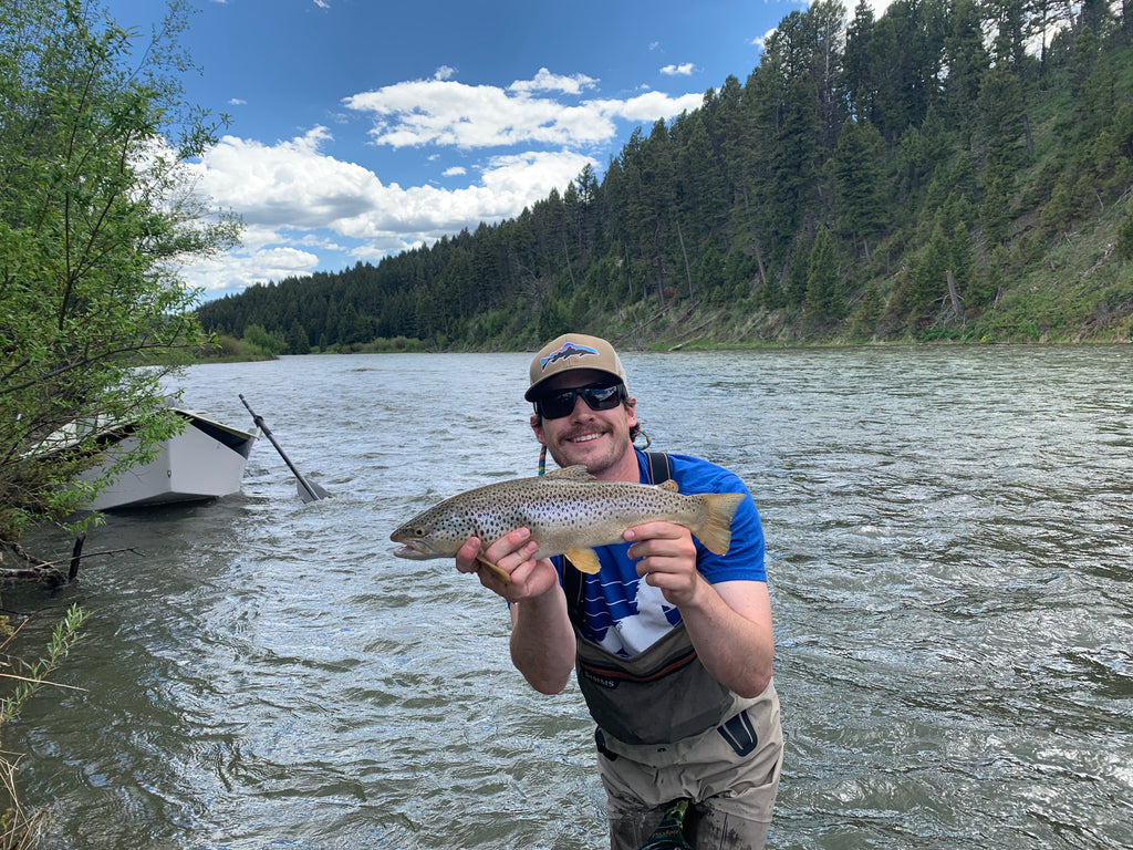 Madison River Outfitters Fishing Report 6/18/19