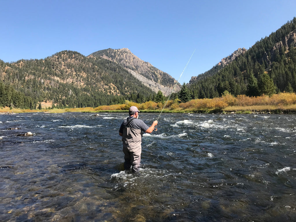 Madison River Outfitters Fishing Report 9/11/2018