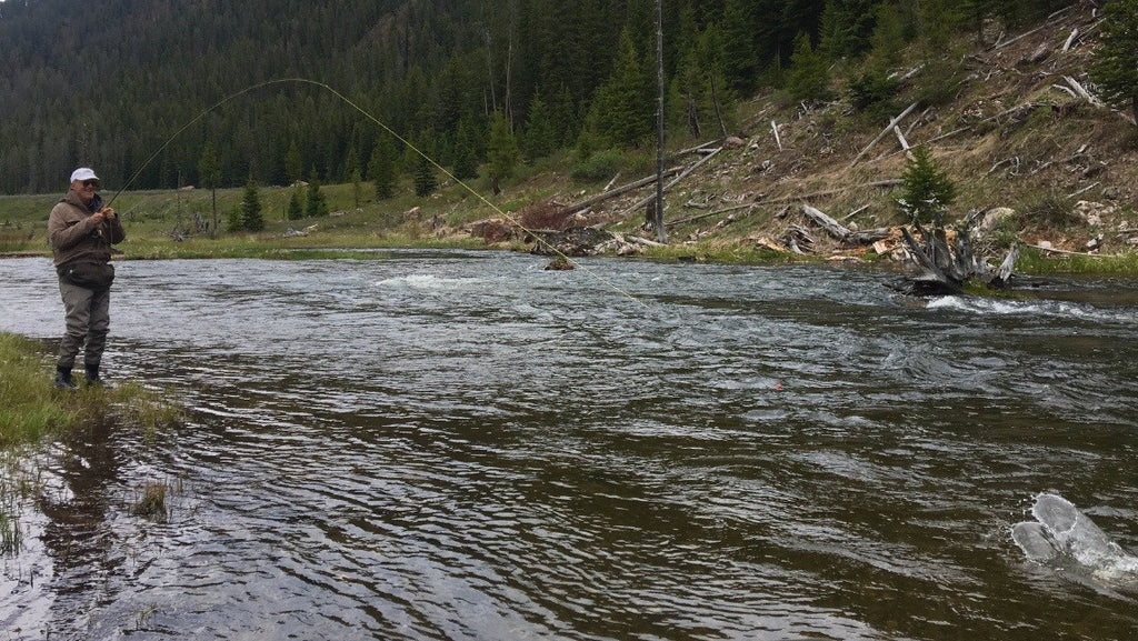 Madison River Outfitters Fly Fishing Report 5/29/2017