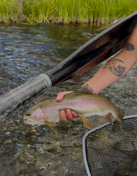 Fishing Report - 8/21/2026