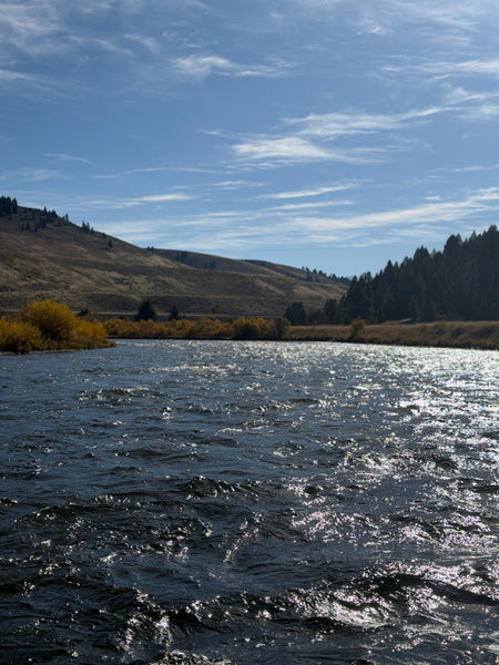 Fishing Report - 10/8/2026