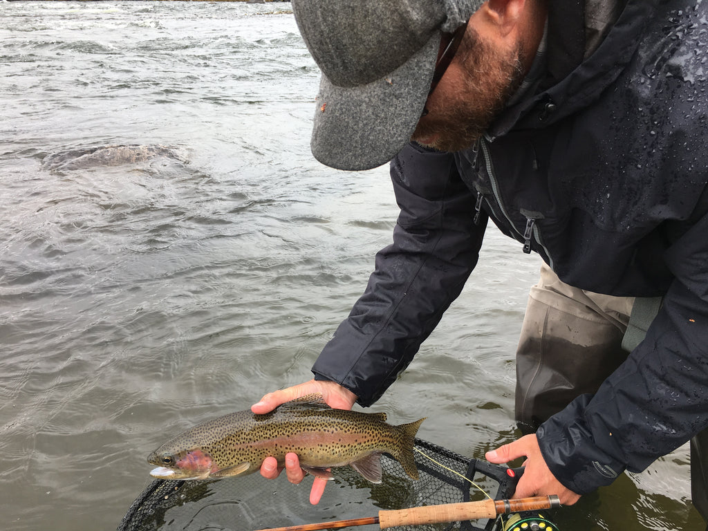 Madison River Outfitters Fly Fishing Report 5/7/2017