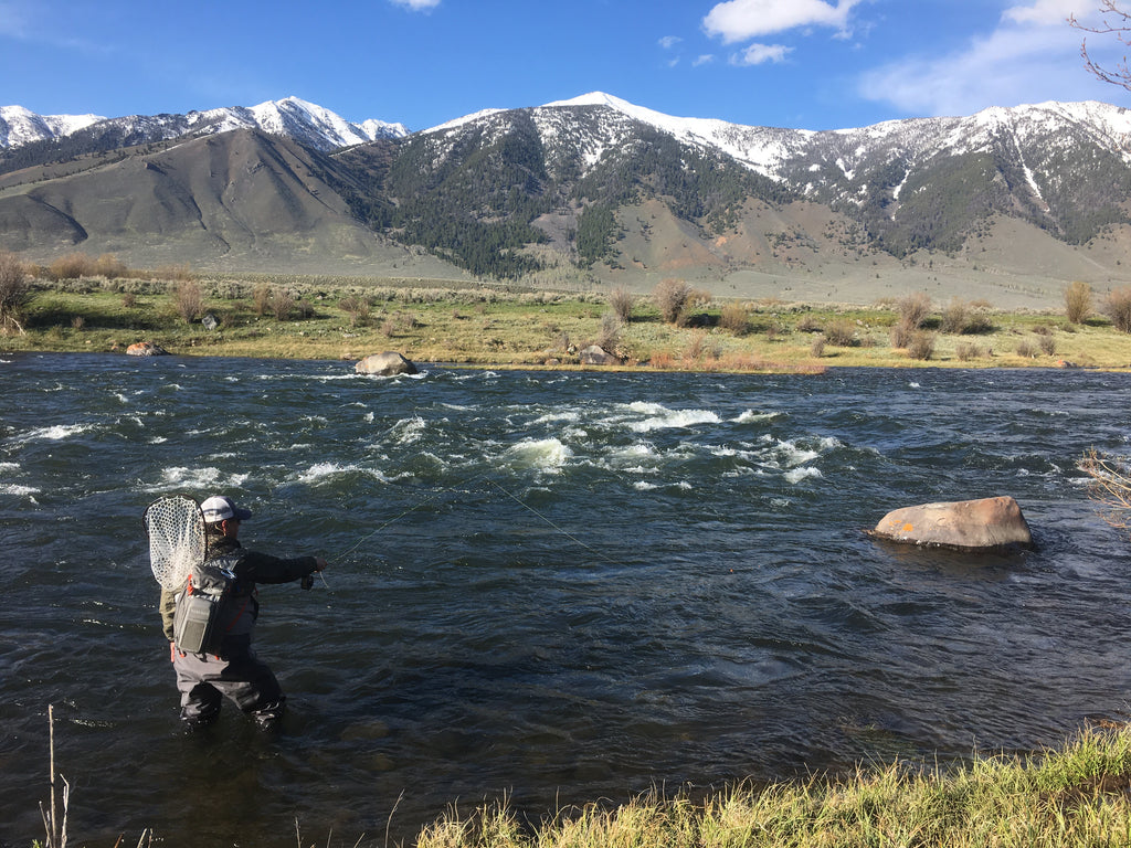 Madison River Outfitters Fly Fishing Report 5/16/2017