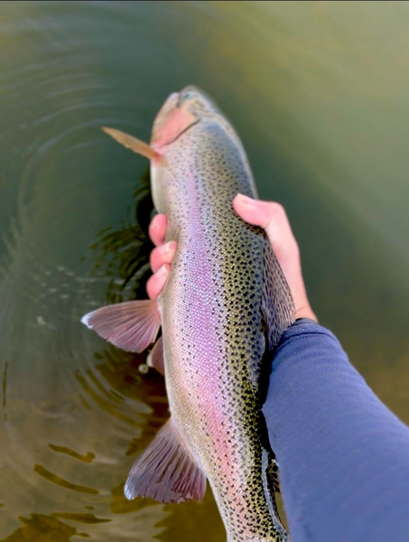 Fishing Report 8/28/2026