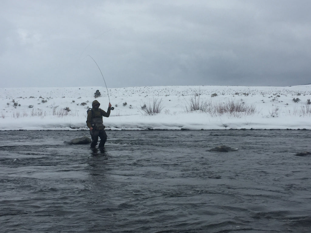 Madison River Fishing Report - 01/25/2017