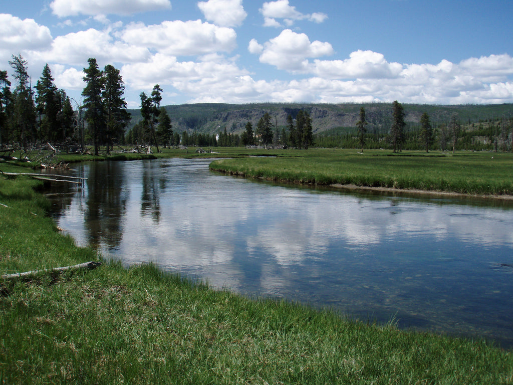 Tips for Fishing The Firehole River Opening Weekend
