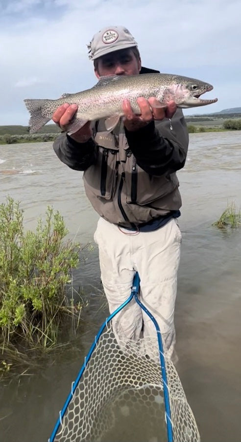 Madison River Outfitters Fishing Report 06/27/22