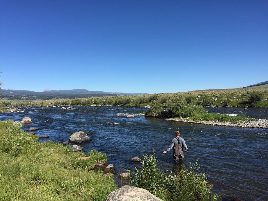 Madison River Fly Fishing Report 6/27/2016