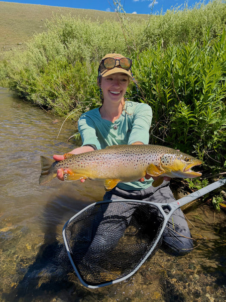 Fishing Report 6/19/2026 - Madison River Outfitters