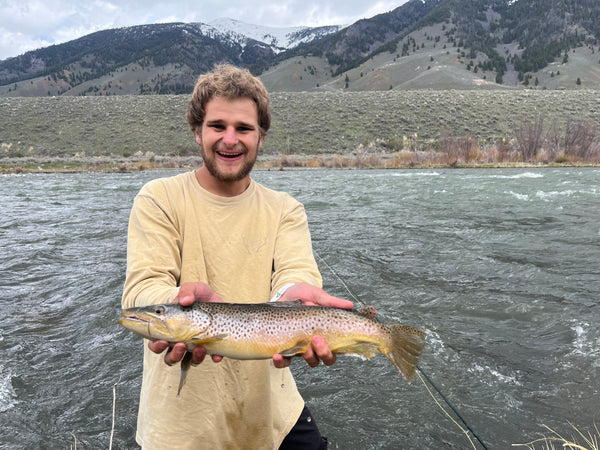 Madison River Outfitters Fishing Report 5/19/2024