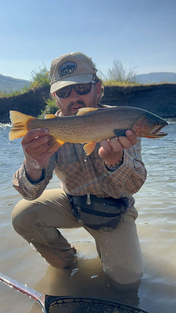 Madison River Outfitters Fishing Report 8/27/2023