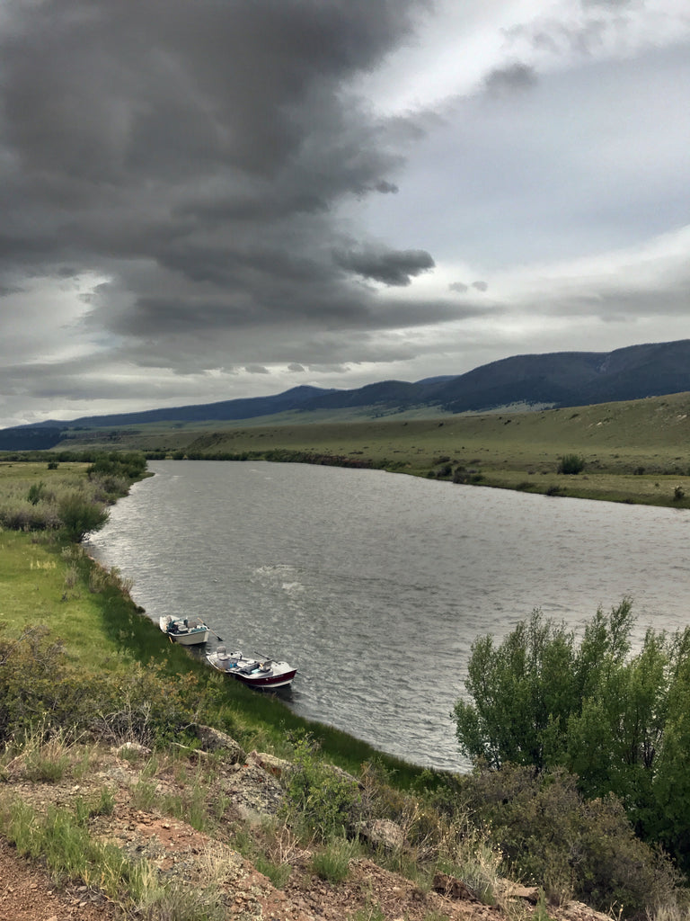 Madison River Outfitters Fishing Report 6/16/20