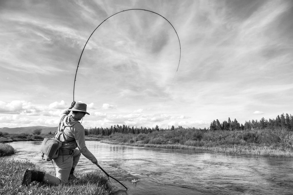 Madison River Outfitters Fly Fishing Report 6/6/2017