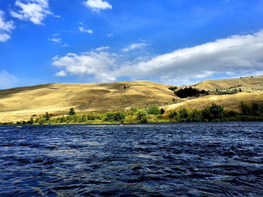 Madison River Fly Fishing Report 8/2/2016
