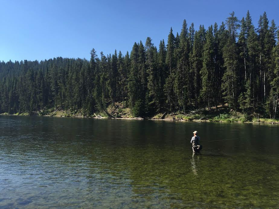 Madison River Fly Fishing Report 7/25/2016