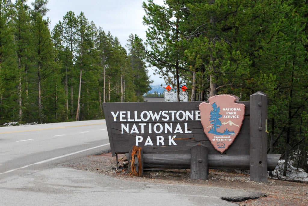 Montana Entrances to Yellowstone National Park Open June 1, 2020