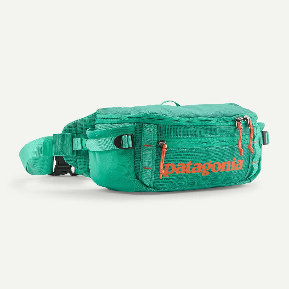 patagonia hole cinch bag Patagonia Black Hole Waist Pack 5L