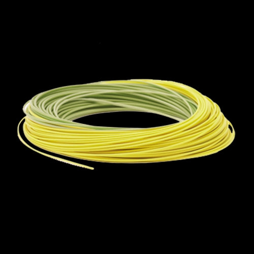 RIO Gold fly line, tapered leader, and backing